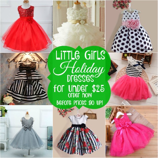 BEAUTIFUL Toddler Girl Holiday Dresses for under $25 - Our Thrifty ...